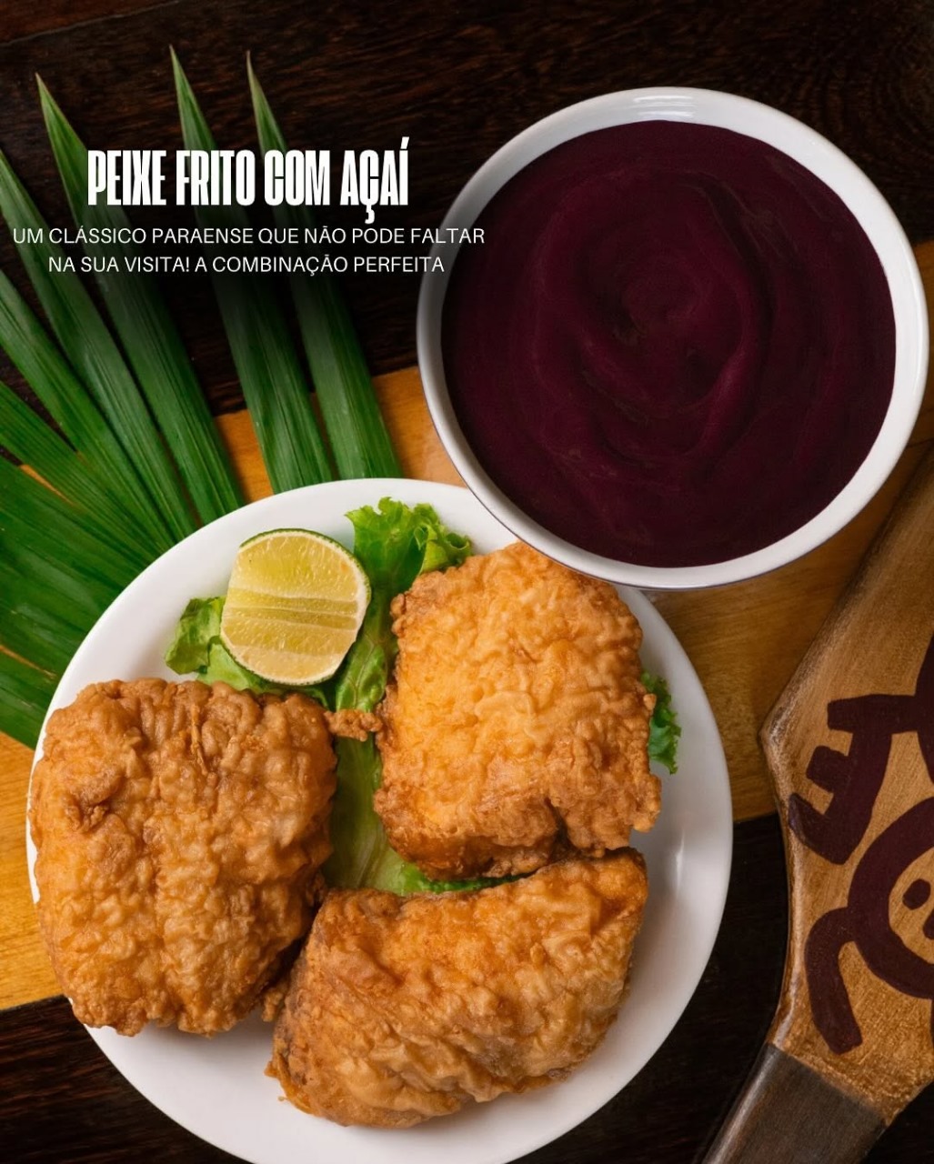 Açaizeira Background